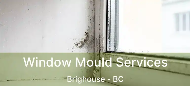  Window Mould Services Brighouse - BC