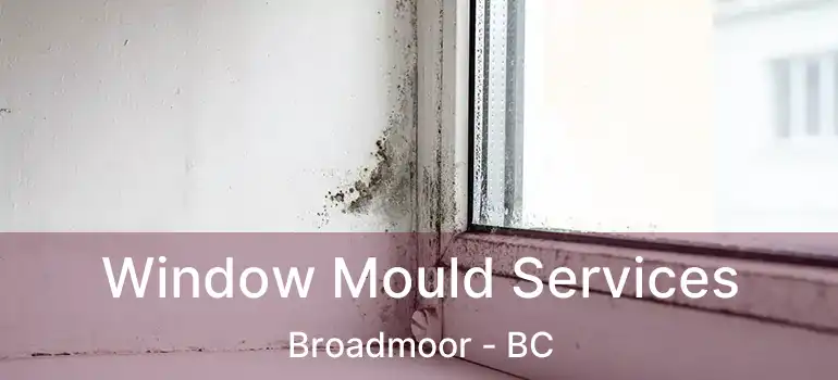  Window Mould Services Broadmoor - BC