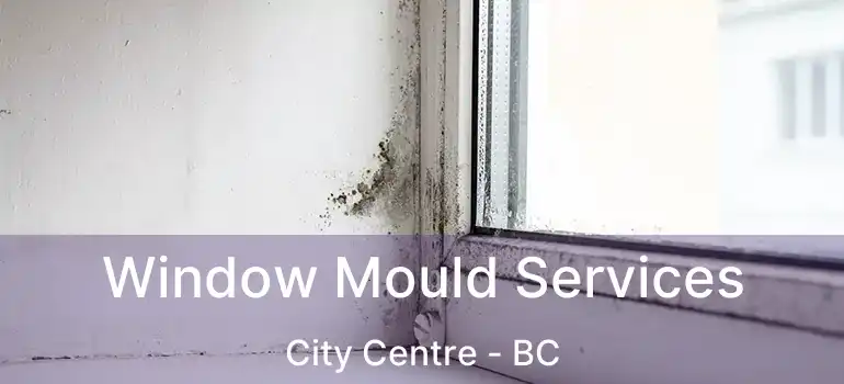  Window Mould Services City Centre - BC