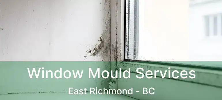  Window Mould Services East Richmond - BC
