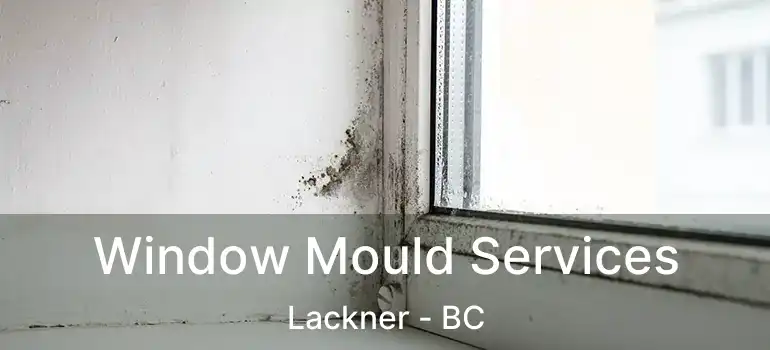  Window Mould Services Lackner - BC