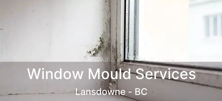  Window Mould Services Lansdowne - BC
