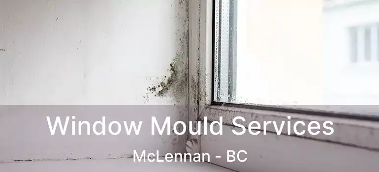  Window Mould Services McLennan - BC