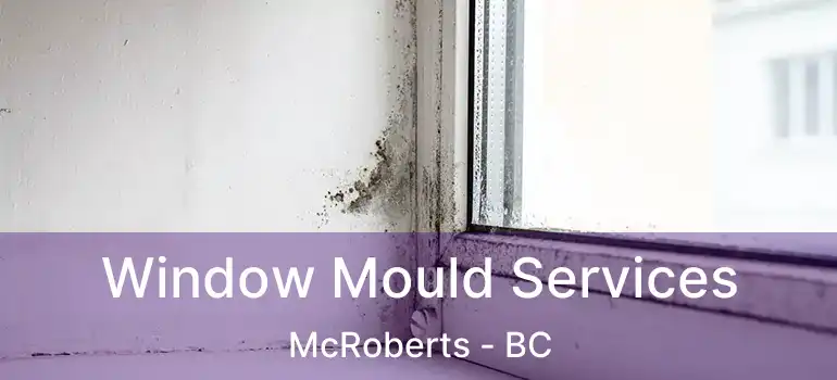  Window Mould Services McRoberts - BC