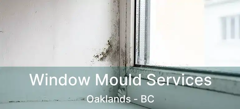  Window Mould Services Oaklands - BC