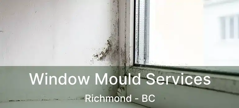  Window Mould Services Richmond - BC