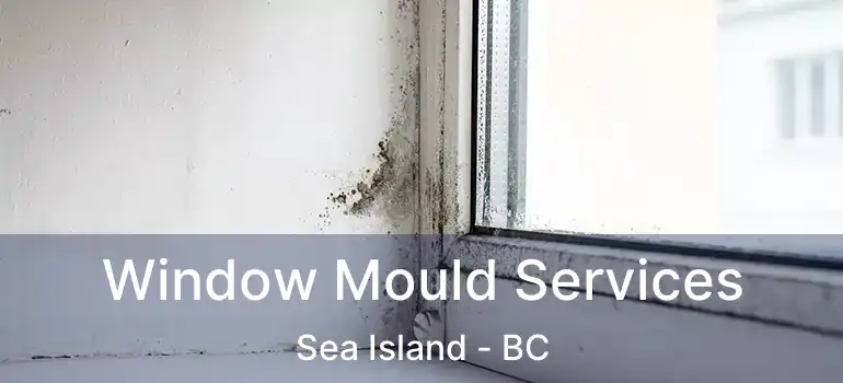  Window Mould Services Sea Island - BC