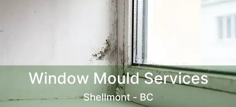  Window Mould Services Shellmont - BC