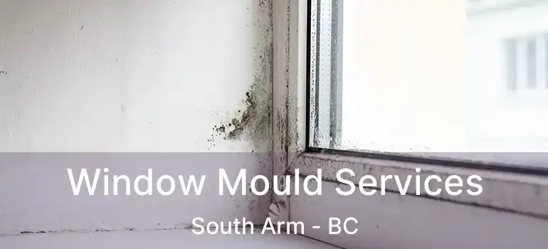  Window Mould Services South Arm - BC