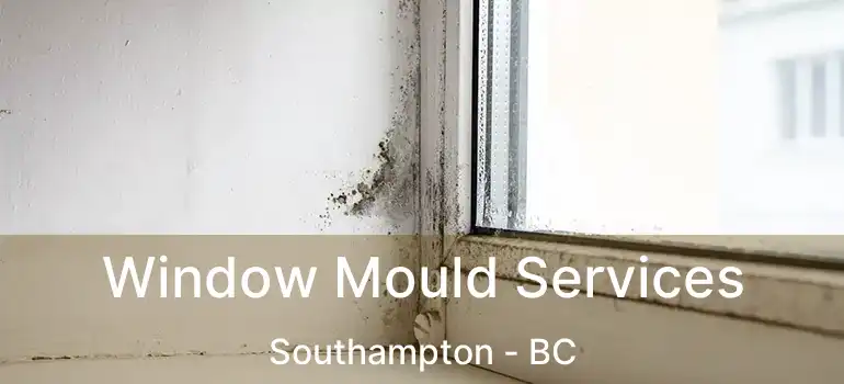  Window Mould Services Southampton - BC