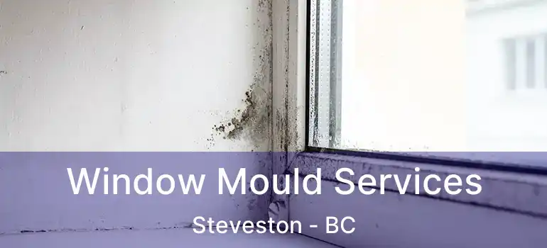  Window Mould Services Steveston - BC