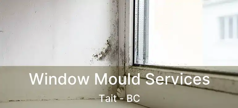 Window Mould Services Tait - BC