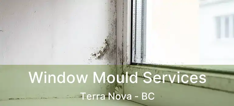  Window Mould Services Terra Nova - BC