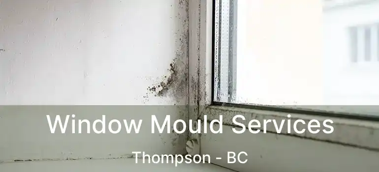  Window Mould Services Thompson - BC