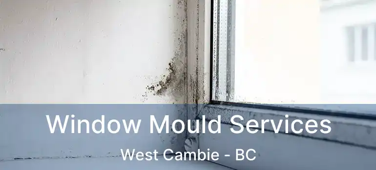  Window Mould Services West Cambie - BC