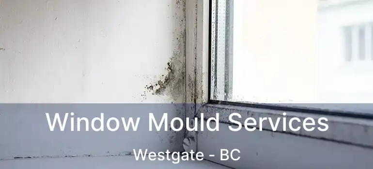  Window Mould Services Westgate - BC
