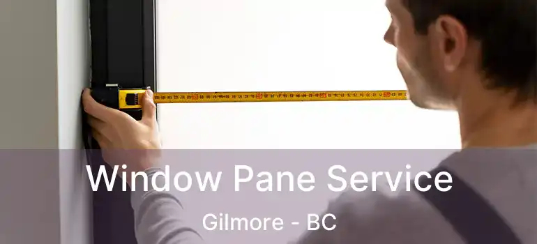  Window Pane Service Gilmore - BC