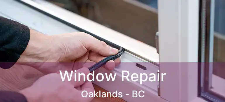  Window Repair Oaklands - BC
