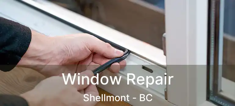  Window Repair Shellmont - BC