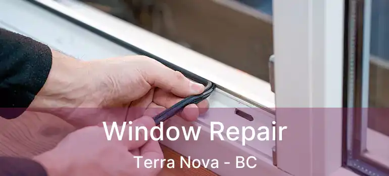  Window Repair Terra Nova - BC