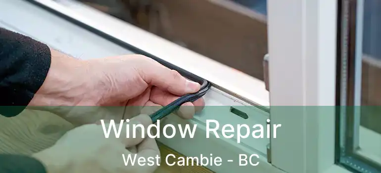  Window Repair West Cambie - BC