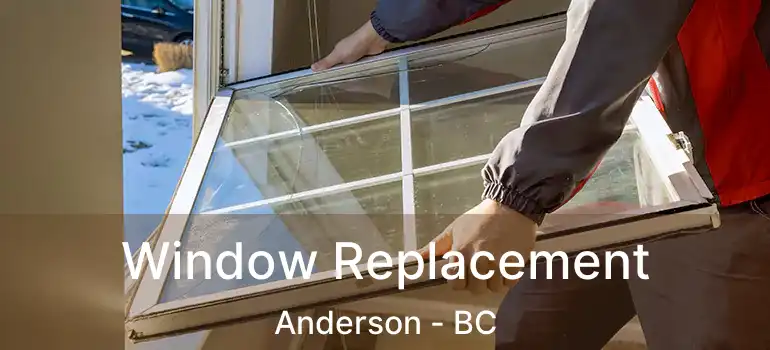  Window Replacement Anderson - BC