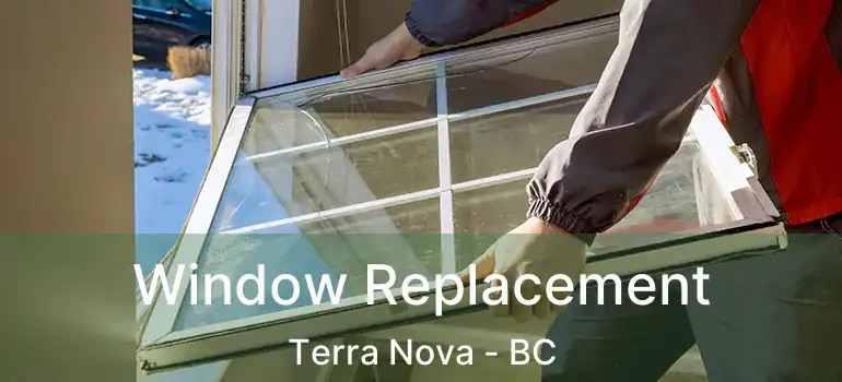  Window Replacement Terra Nova - BC