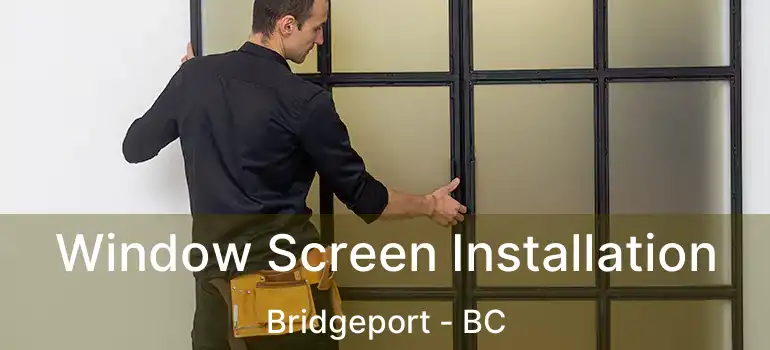  Window Screen Installation Bridgeport - BC
