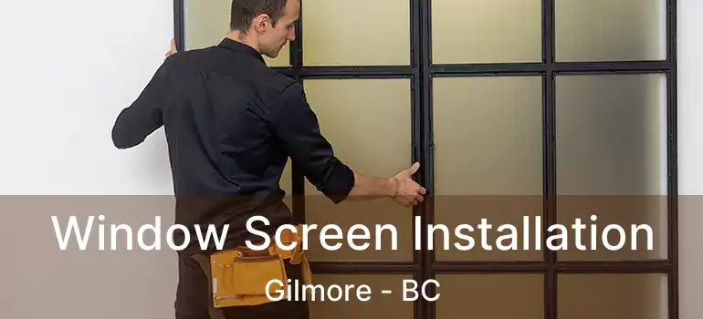  Window Screen Installation Gilmore - BC