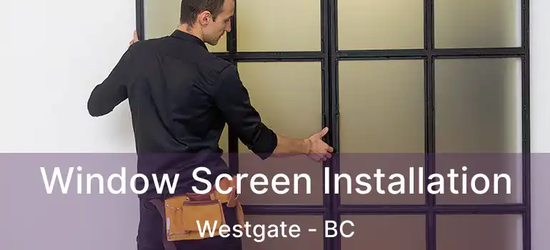  Window Screen Installation Westgate - BC