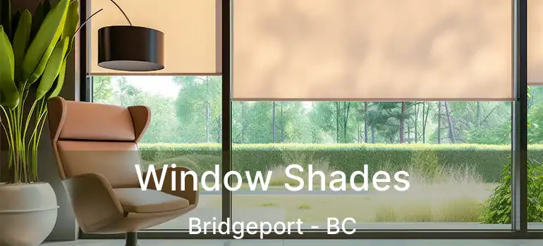  Window Shades Bridgeport - BC