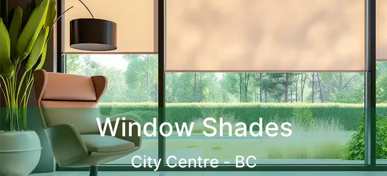  Window Shades City Centre - BC