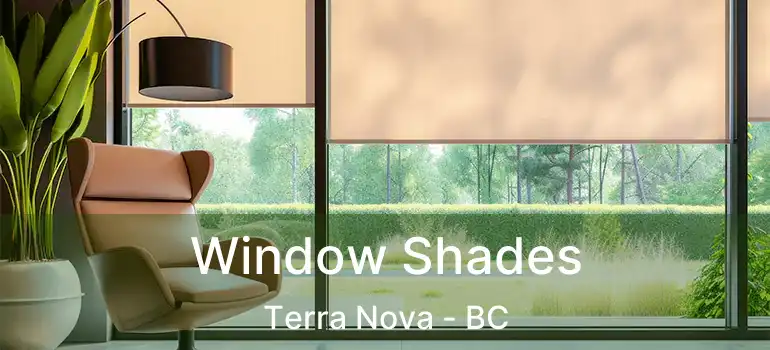  Window Shades Terra Nova - BC