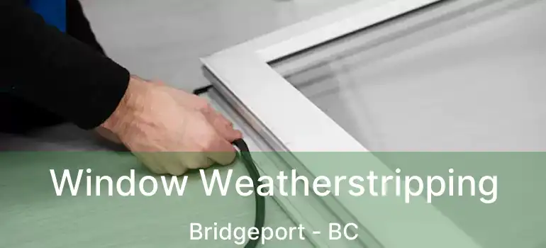  Window Weatherstripping Bridgeport - BC