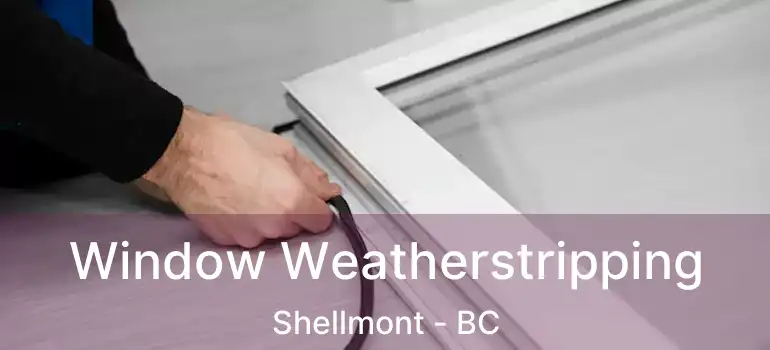  Window Weatherstripping Shellmont - BC