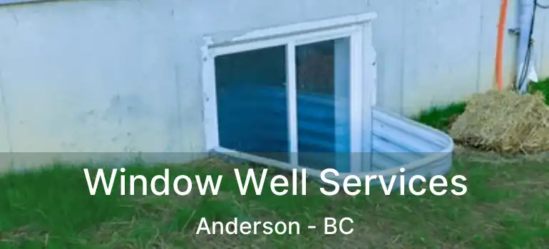  Window Well Services Anderson - BC
