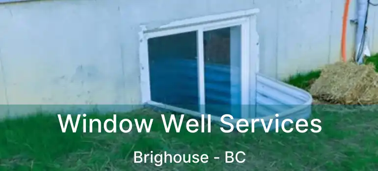  Window Well Services Brighouse - BC