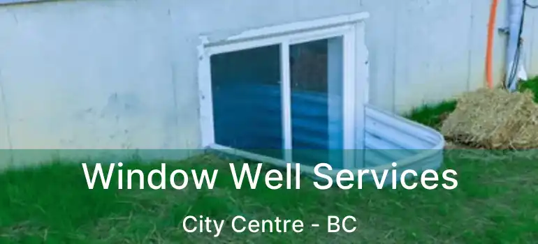  Window Well Services City Centre - BC