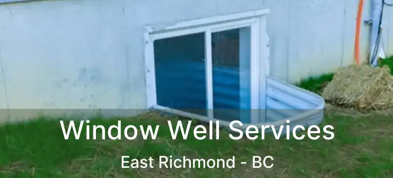  Window Well Services East Richmond - BC