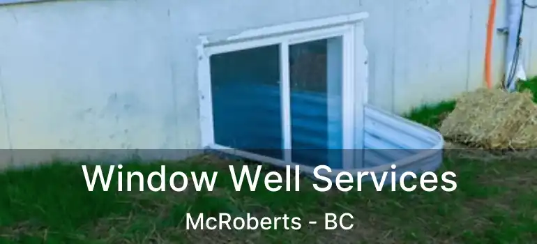 Window Well Services McRoberts - BC