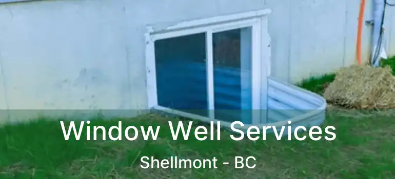  Window Well Services Shellmont - BC