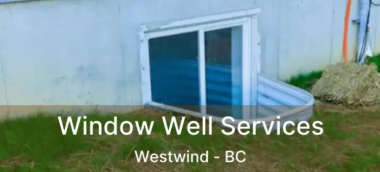  Window Well Services Westwind - BC
